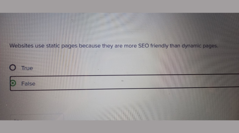 Websites use static pages because they are more SEO friendly than dynamic pages.