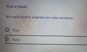 All major search engines are case sensitive